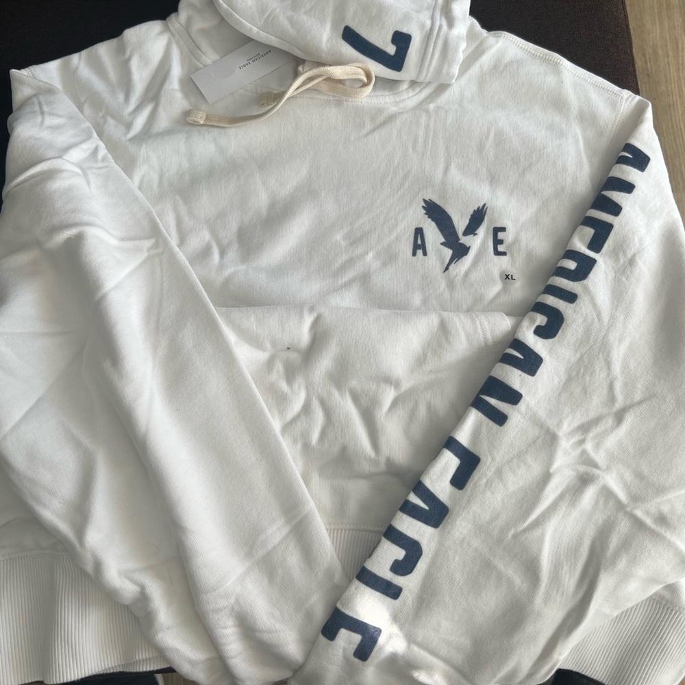 AE Logo Graphic Pullover Hoodie